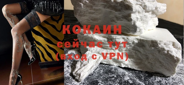 дурь Вяземский