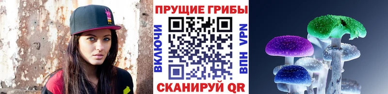 Галлюциногенные грибы MAGIC MUSHROOMS  Елец 