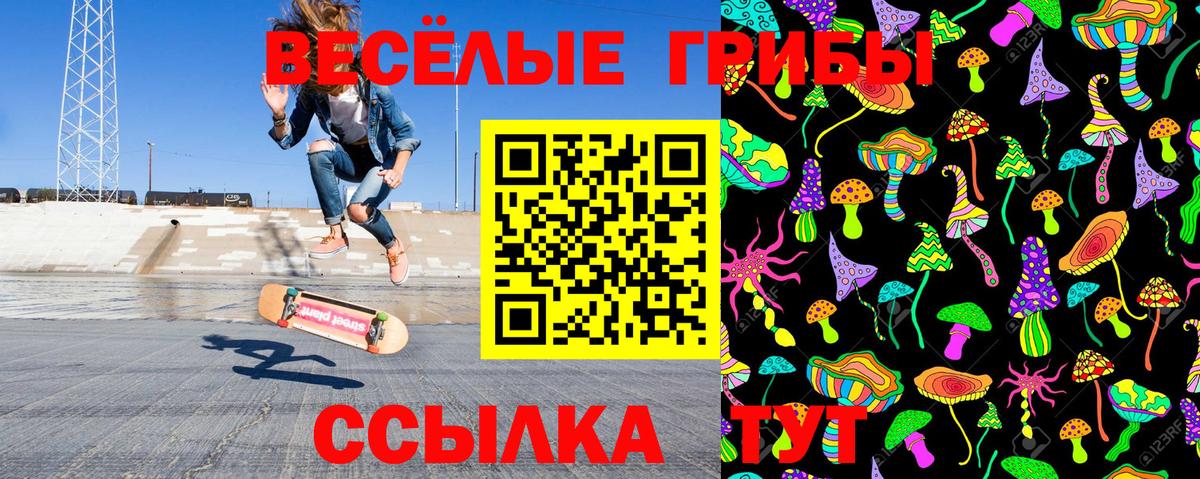 Елец  наркота  Вход с VPN  Псилоцибиновые грибы GOLDEN TEACHER 